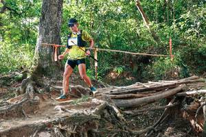 BIB: 
                            <button type="button" onclick="openModal(27554641)" class="btn btn-primary btn-sm float-right btn-popup" data-toggle="modal" data-target=".modal-high-quality">
                        <i class="fas fa-shopping-cart"></i> Add to Cart
                    </button>
                                            <button type="button" onclick="isThisMe(27554641, true)" class="btn btn-success btn-sm float-right btn-popup btn-isme hidden" data-toggle="tooltip" data-placement="bottom" title="นี่คือรูปของคุณใช่ไหม คลิกที่นี่เพื่อเอาเข้าอัลบั้ม">
                        <i class="fas fa-plus"></i> Add to album
                    </button>
                    <button type="button" onclick="isThisMe(27554641, false)" class="btn btn-warning btn-sm float-right btn-popup btn-isnotme hidden">
                        <i class="fas fa-ban"></i> Remove from album
                    </button>